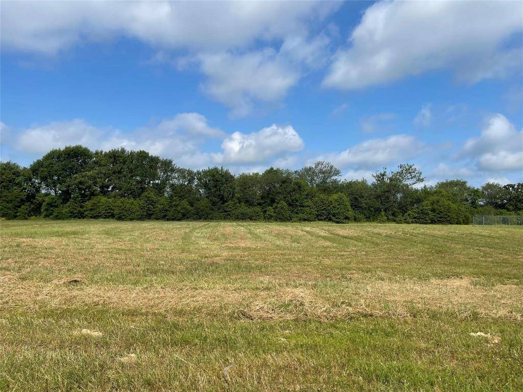 Wills Point, TX 75169,Lot 5 Private