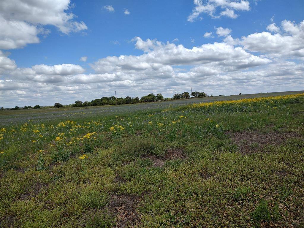 Cisco, TX 76437,40 AC CO ROAD 184