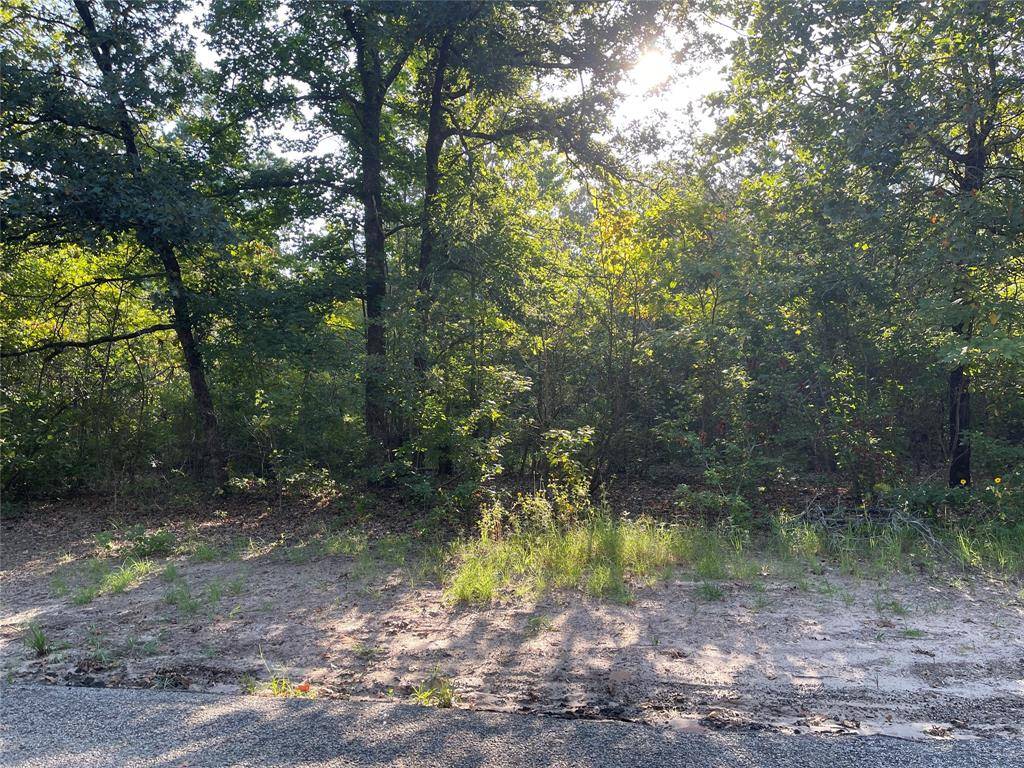 Scroggins, TX 75480,Lot 47 CR SE 4298