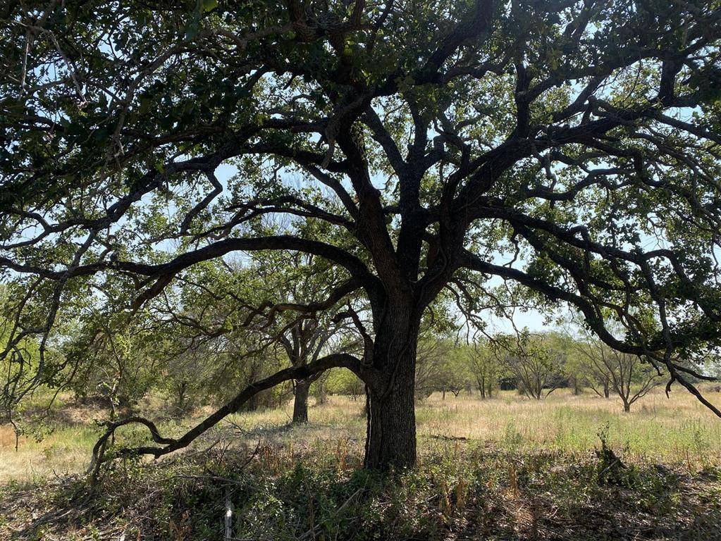 Blanket, TX 76432,6808 County Road 327