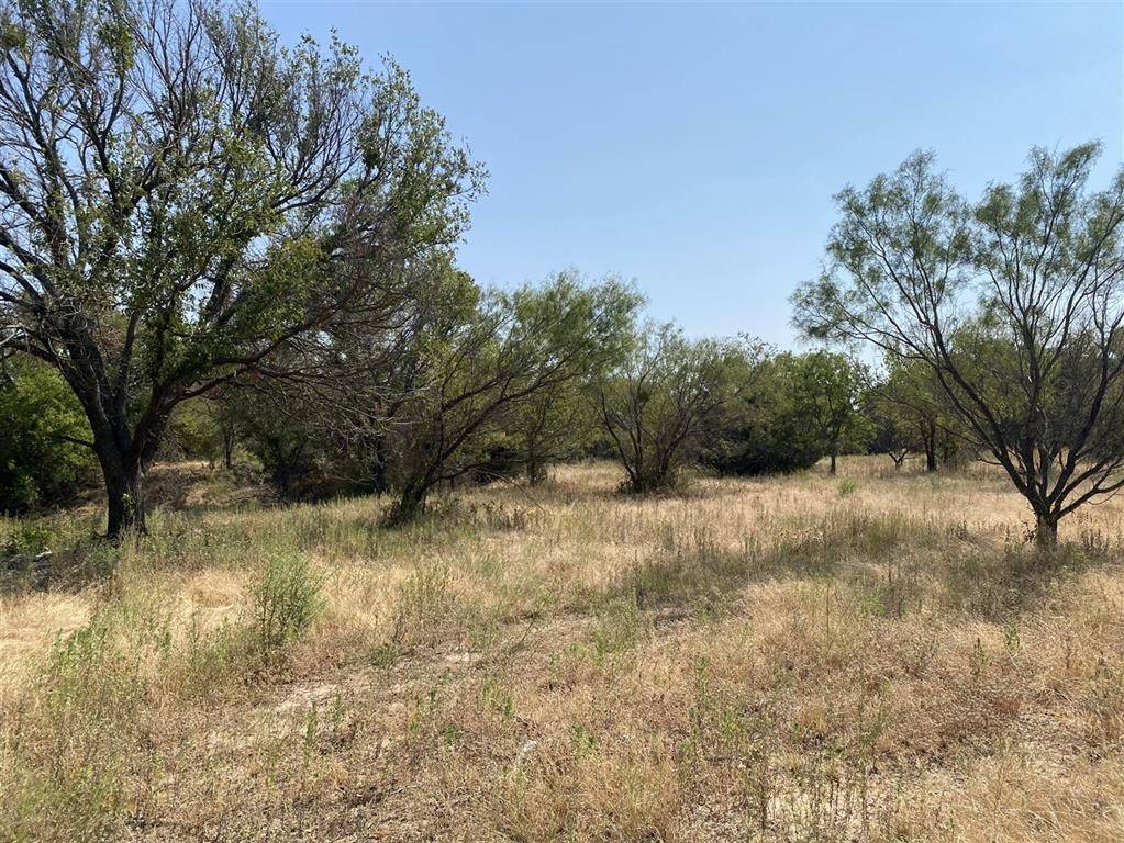 Blanket, TX 76432,6808 County Road 327