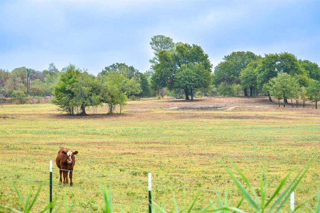 Boyd, TX 76023,TBD CR 4698 14 acres