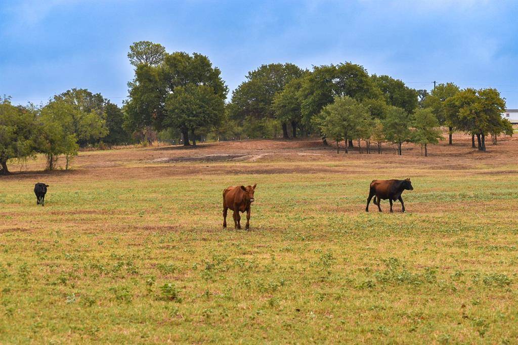 Boyd, TX 76023,TBD CR 4698 14 acres