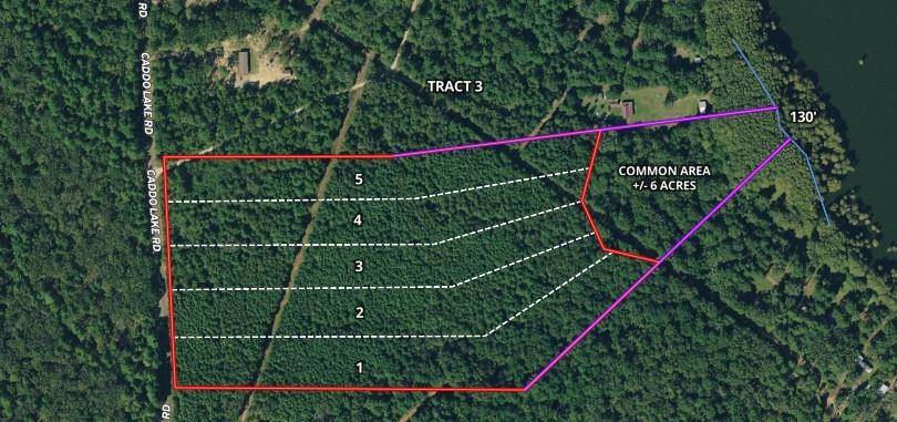 Mooringsport, LA 71060,TBD Caddo Lake Road #4 & 5