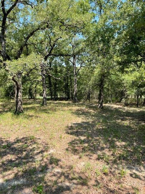 Springtown, TX 76082,197 N Comanche Trail