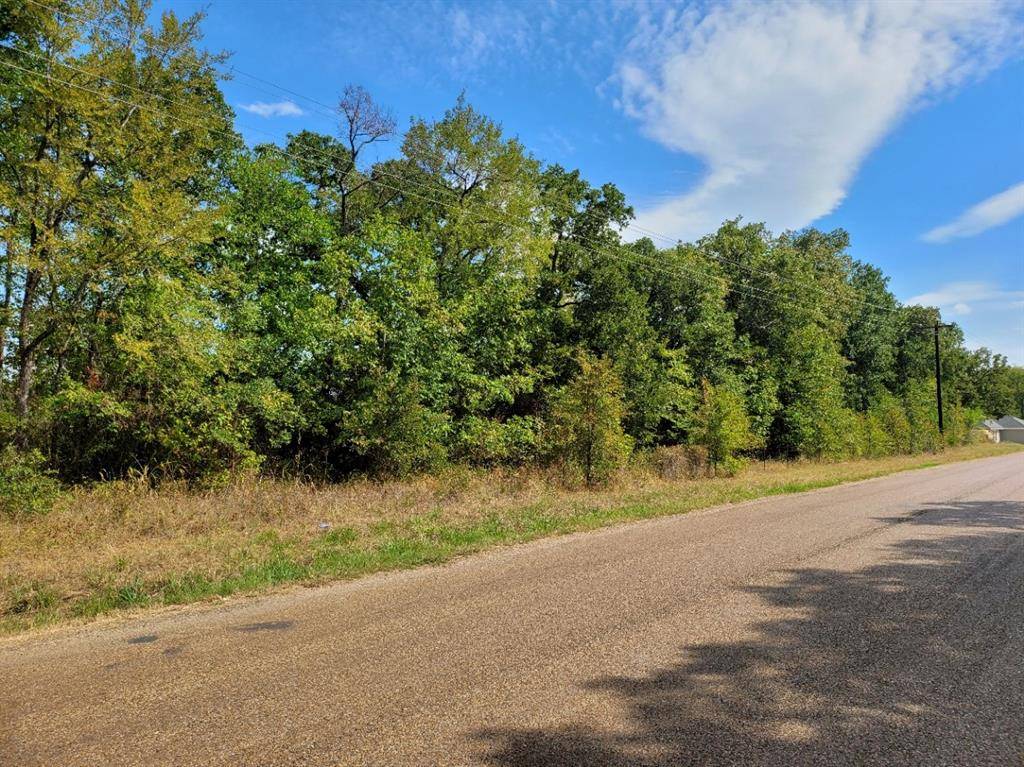 Mabank, TX 75156,TBD Double Bridge Rd