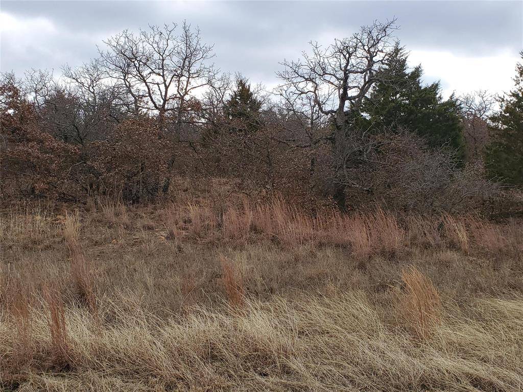 Bowie, TX 76230,Lot 462 Mountain Pass Drive