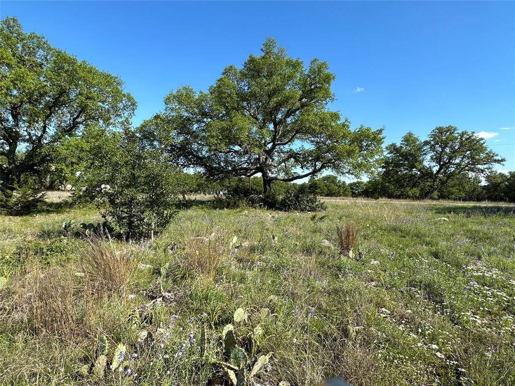 Lampasas, TX 76550,Lot 122 Blackbuck Ridge Drive