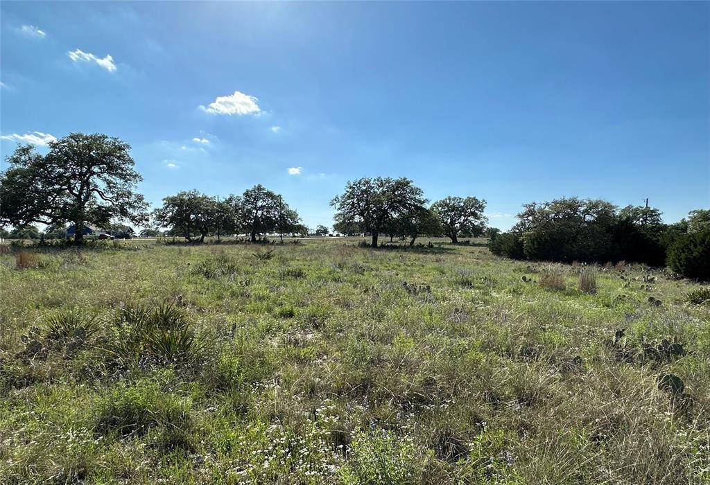 Lampasas, TX 76550,Lot 122 Blackbuck Ridge Drive