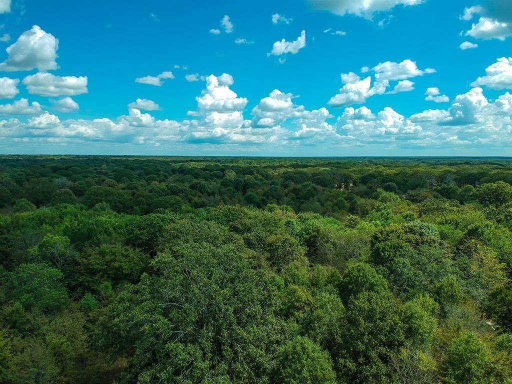 Emory, TX 75440,000 Rs County Road 1315