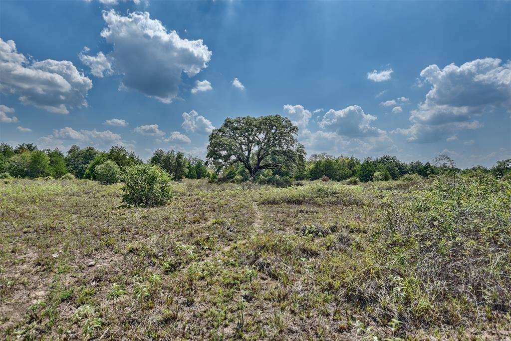 Carmine, TX 78932,2839 Schoenst Road