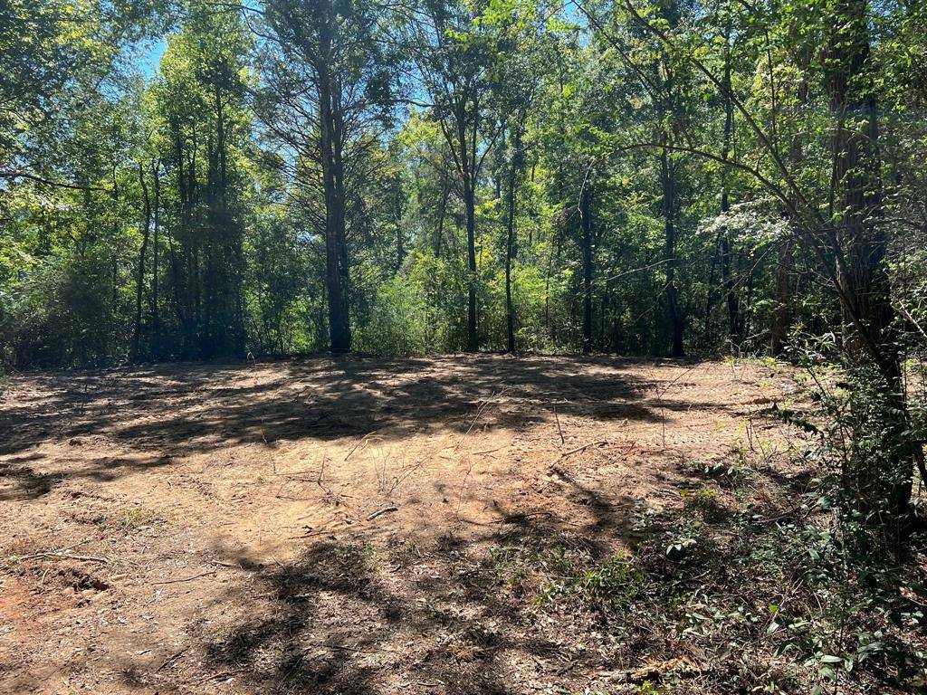 Henderson, TX 75654,Lot 3 CR 4113 Road