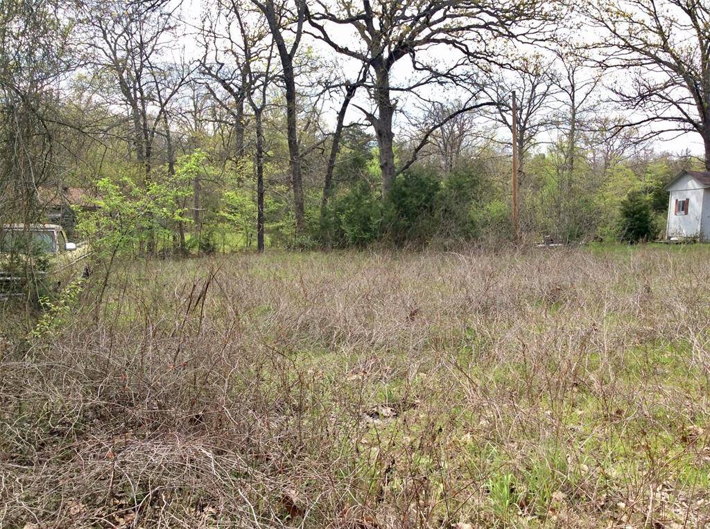 Honey Grove, TX 75446,TBD Jim Bowie Road