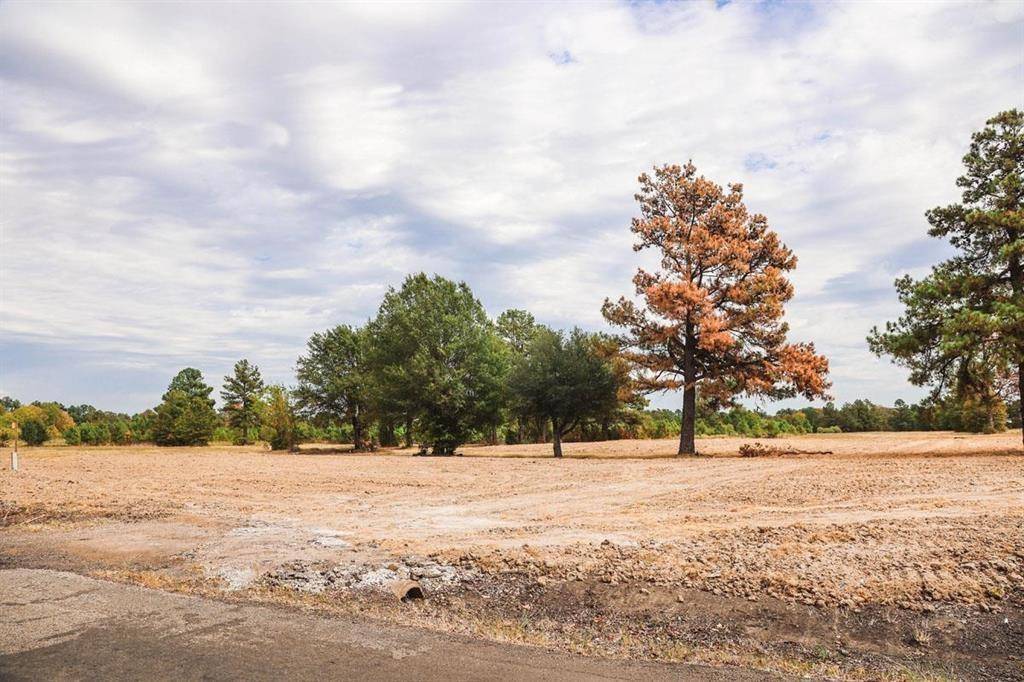 Paris, TX 75460,Lot 2 NE 36TH Street