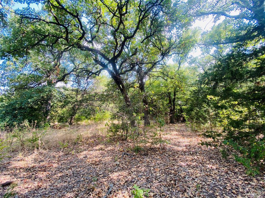 Gainesville, TX 76240,TBD County Rd 263 Road