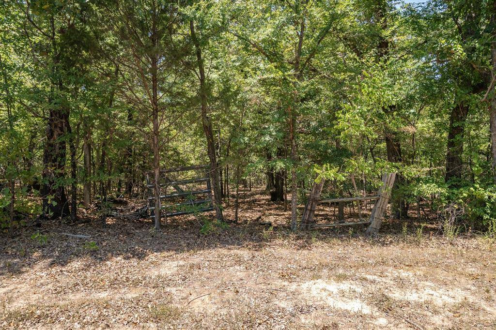 Grand Saline, TX 75140,TBD VZCR 1517 Tract 3