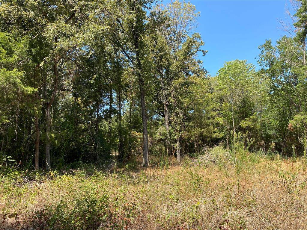 Payne Springs, TX 75156,Lot 683 Granada Street