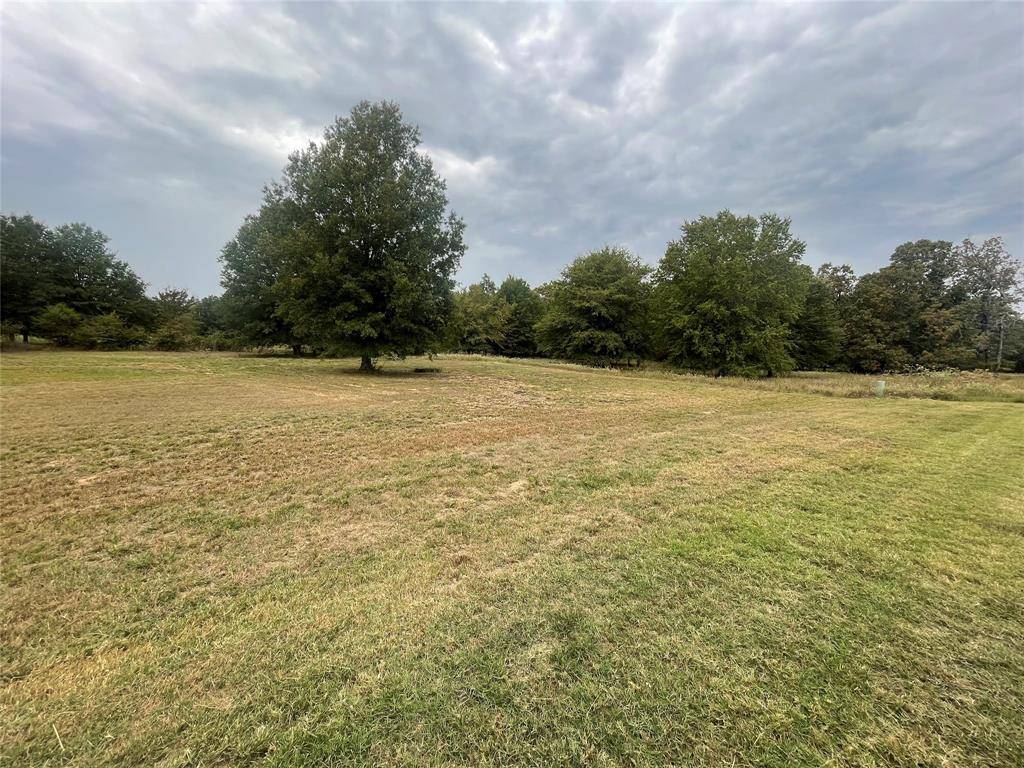 Blossom, TX 75416,TBD PRIVATE ROAD 44005 lot 24