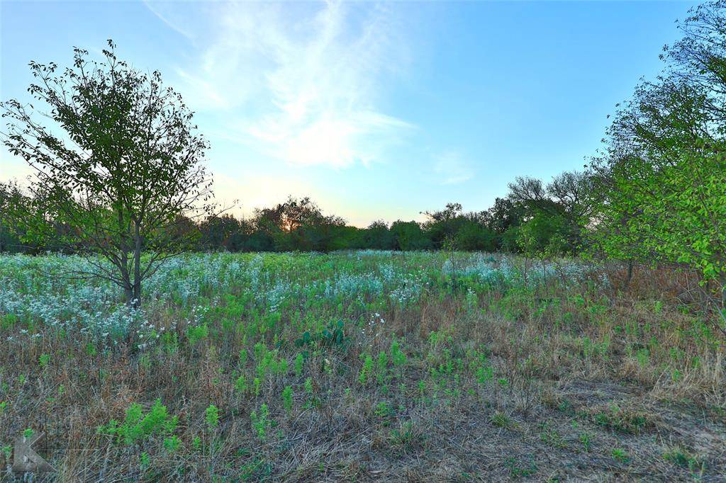 Abilene, TX 79602,TBD CR 220