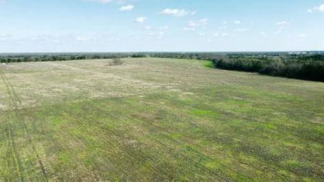 Paris, TX 75461,TBD CR 13650 CR 13650