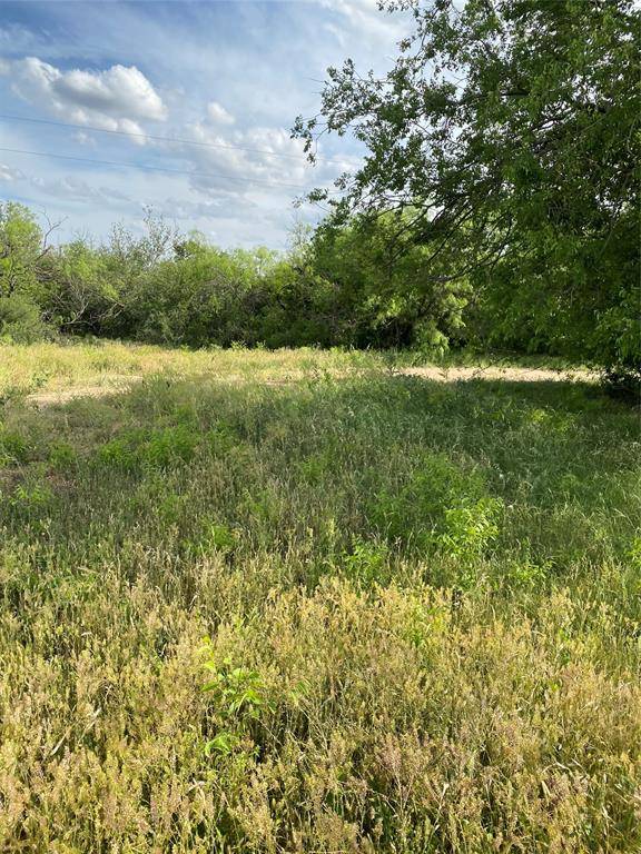 Ovalo, TX 79541,TBD 45 ACRES #2 CR 186