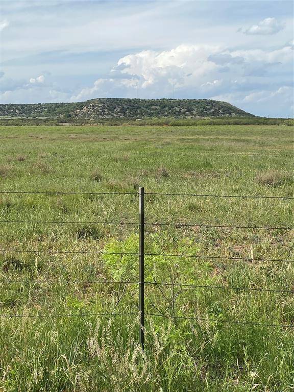 Ovalo, TX 79541,TBD 45 ACRES #2 CR 186