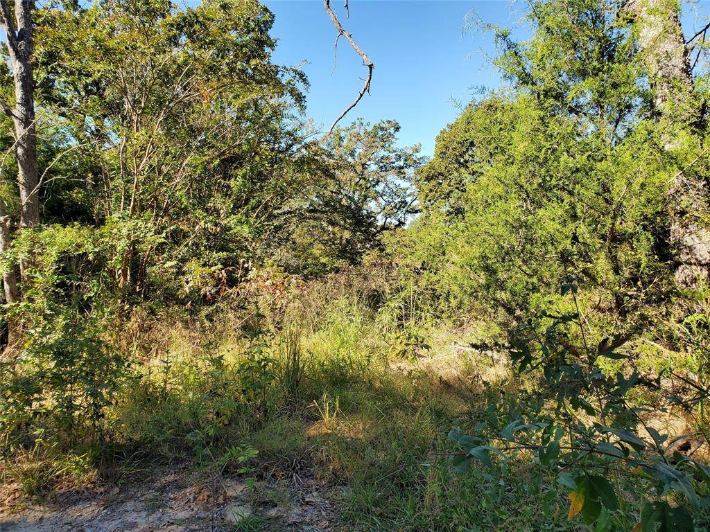 Honey Grove, TX 75446,321 Jim Bowie Road