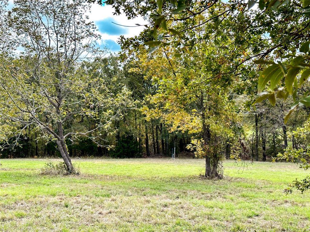 Streetman, TX 75859,Lot 33 & BTS #24 Lake Ridge Drive