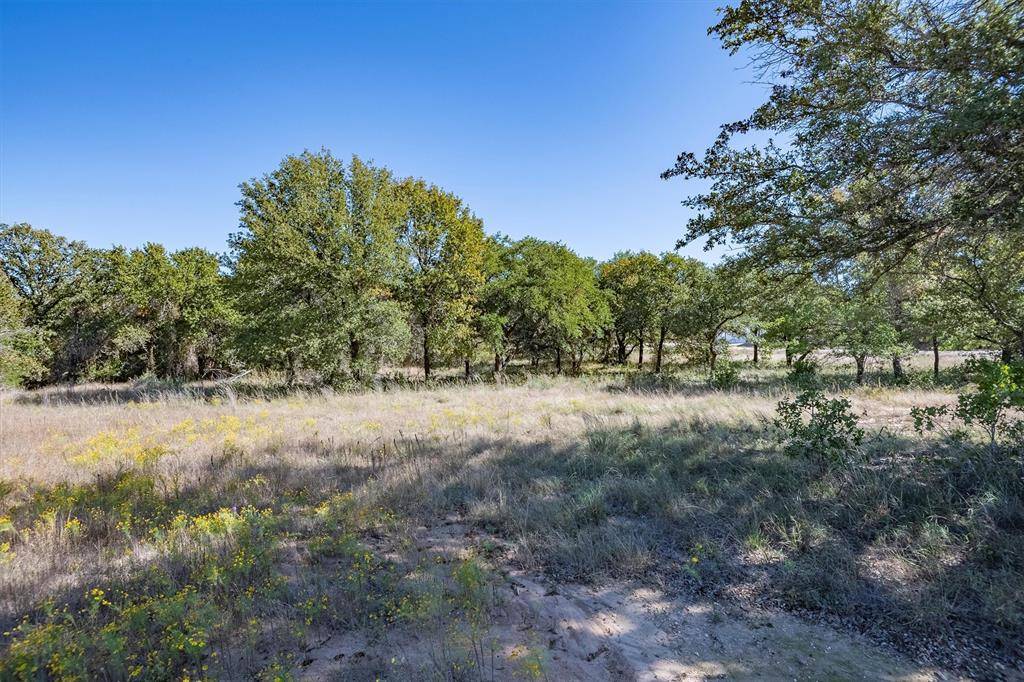 Glen Rose, TX 76043,1536 County Road 2030