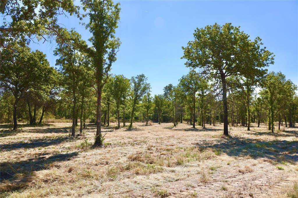 Perrin, TX 76486,Tract 8 Hidden Ranch Ln