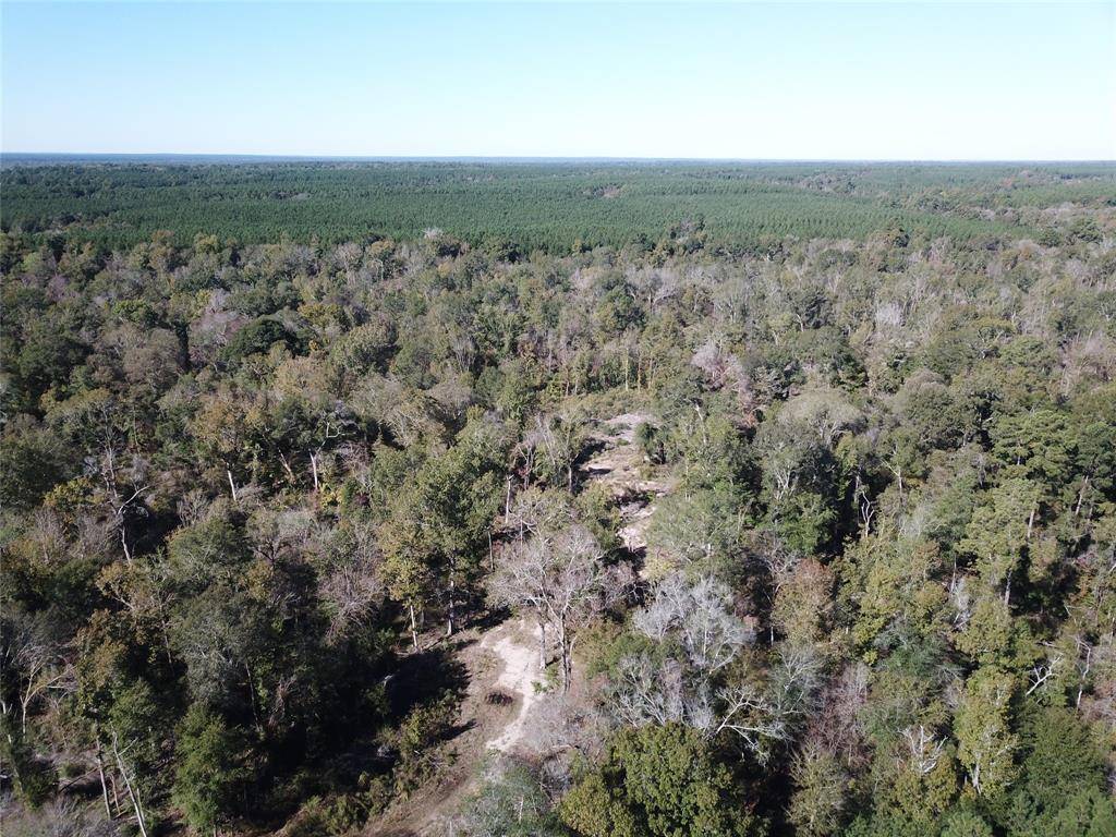 Hudson, TX 75904,00 Off Evans Gann Road