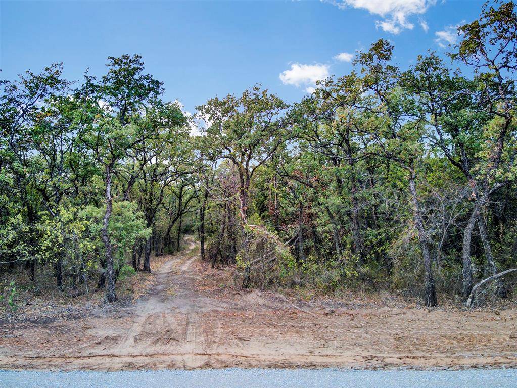 Paradise, TX 76073,253 Mann Road