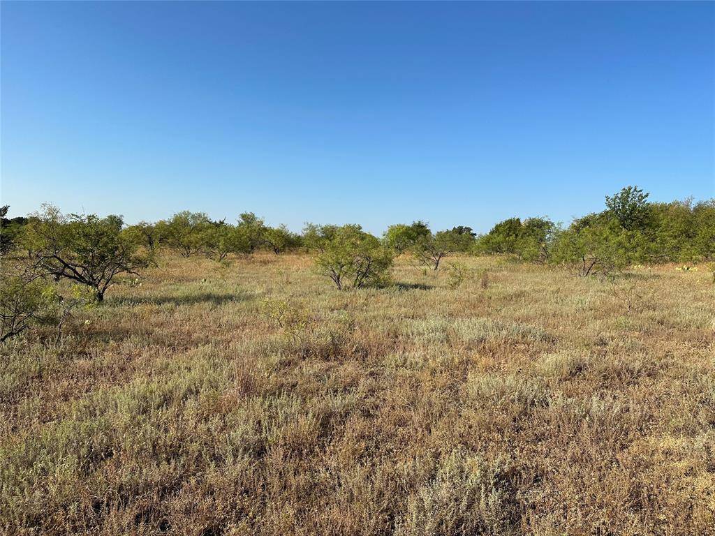 Comanche, TX 76442,TBD MERCERS PRESERVE RD.