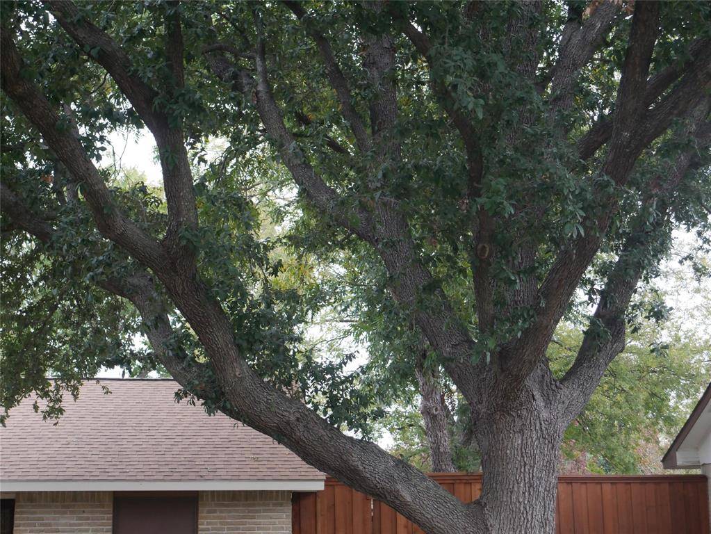 Garland, TX 75043,306 Birchwood Drive