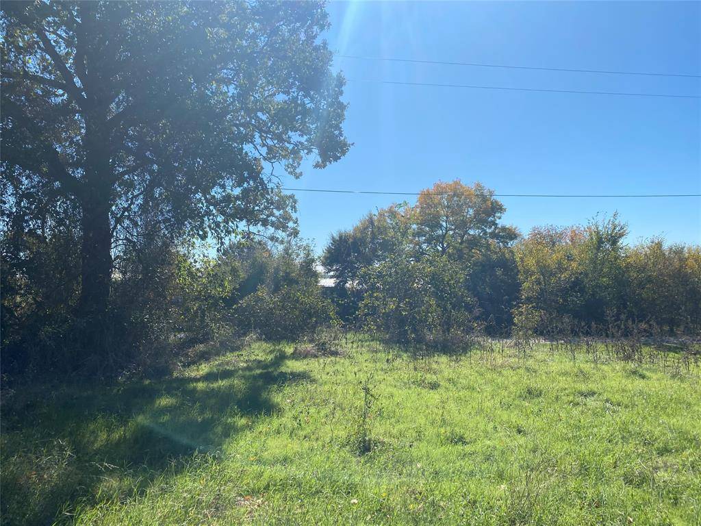 Corsicana, TX 75109,TBD Wyona Drive