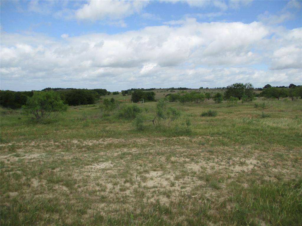 Perrin, TX 76486,12.4 ac Two Bush