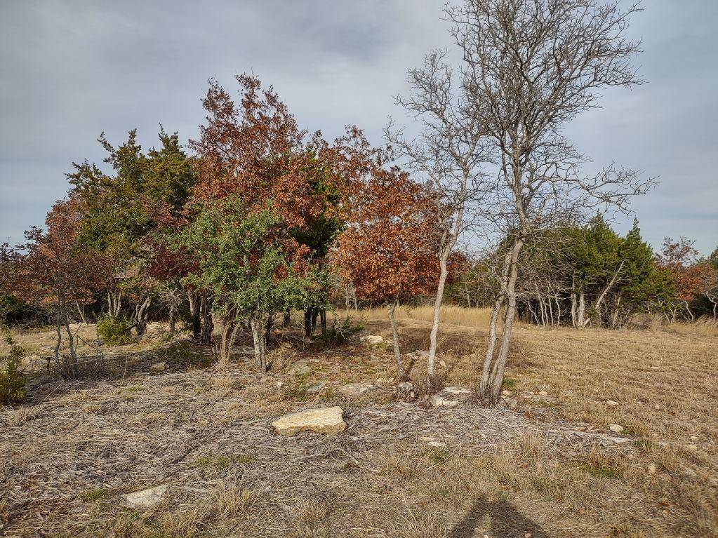 Glen Rose, TX 76043,1670 County Road 2018