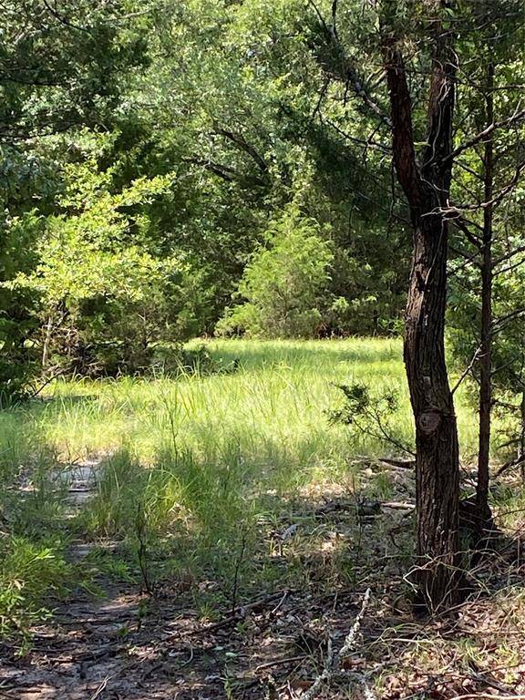 Quinlan, TX 75474,Lot 17 Private Road 2410