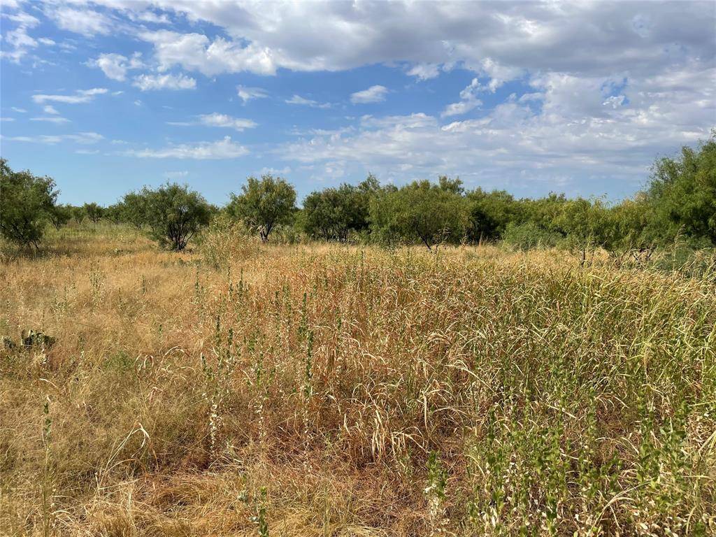 Anson, TX 79501,80+/- Ac TBD E County Road 364