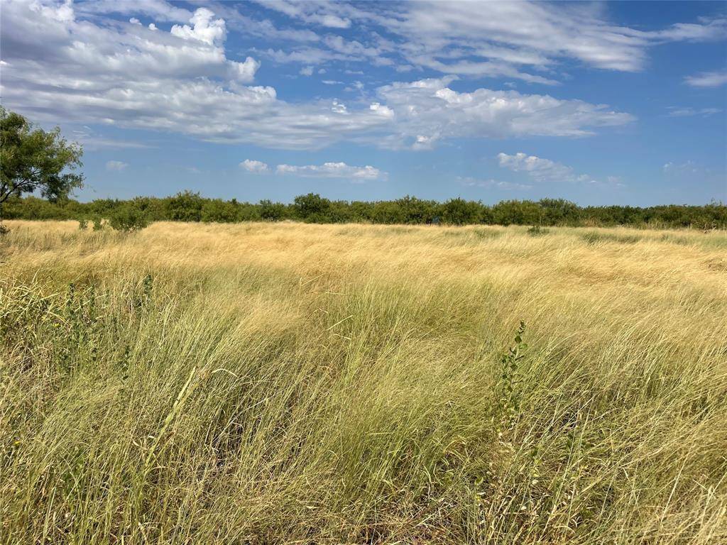 Anson, TX 79501,80+/- Ac TBD E County Road 364