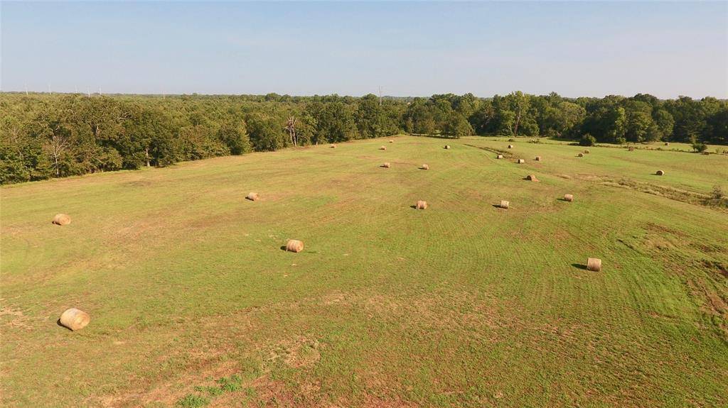 De Kalb, TX 75559,TBD County Road 4306