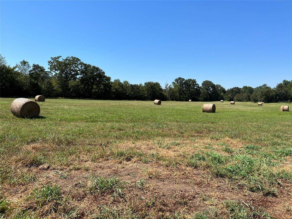 De Kalb, TX 75559,TBD County Road 4306