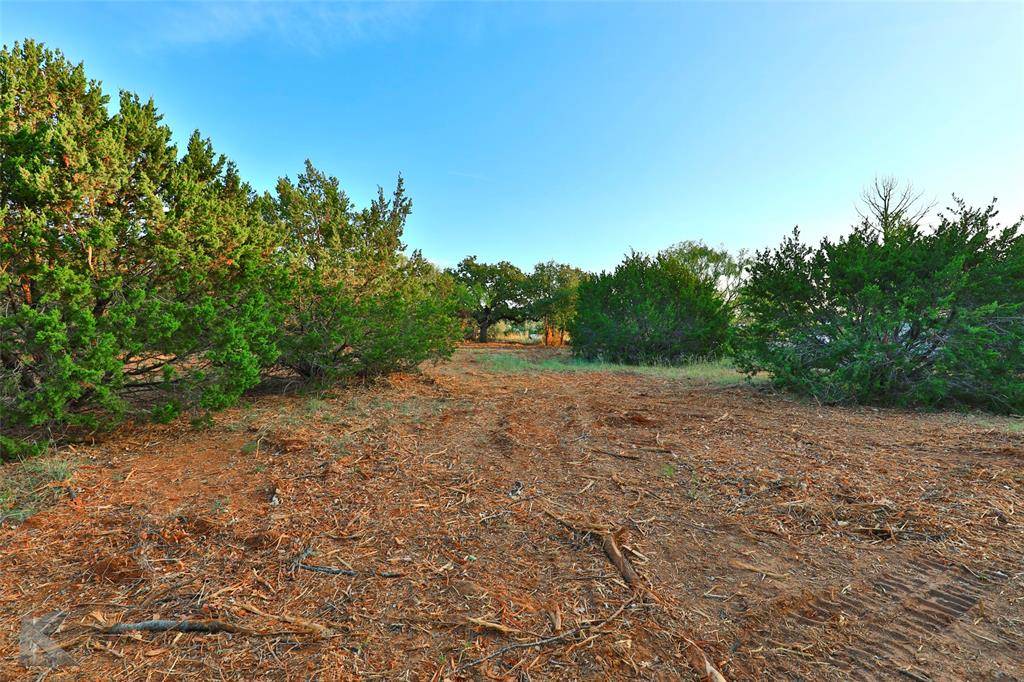 Clyde, TX 79510,Lot 17 CR 278