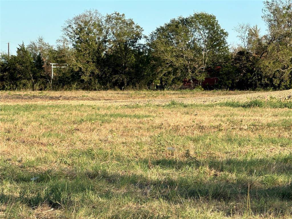 Powell, TX 75153,TBD Lot 5 NE County Road 0190