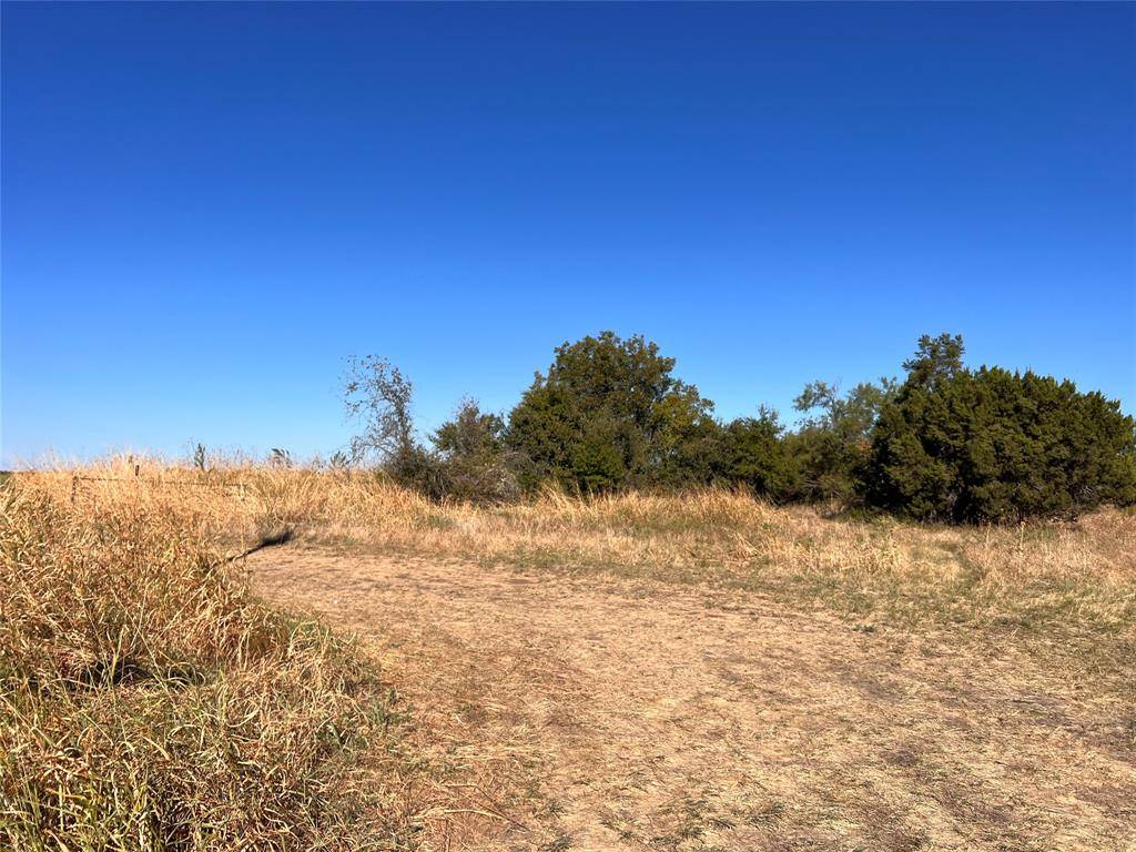 Bangs, TX 76823,6101 County Road 170