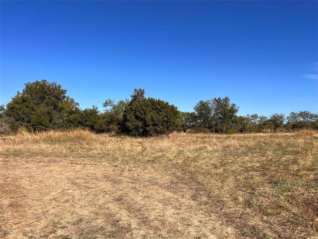 Bangs, TX 76823,6101 County Road 170