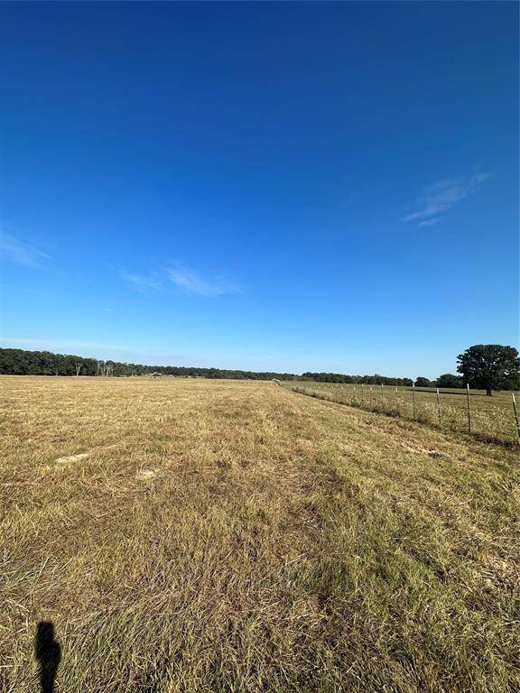 Blossom, TX 75416,TBD CR 44880