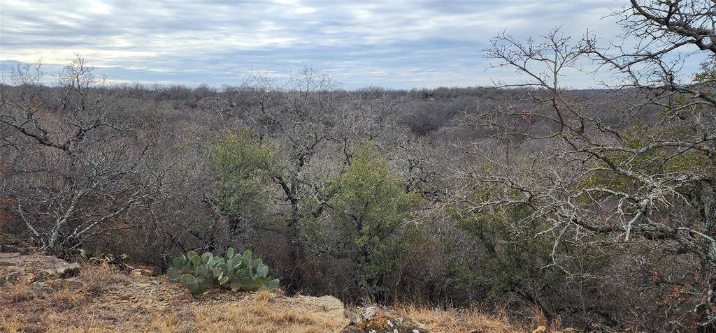 Jacksboro, TX 76458,TBD Wyatt Road