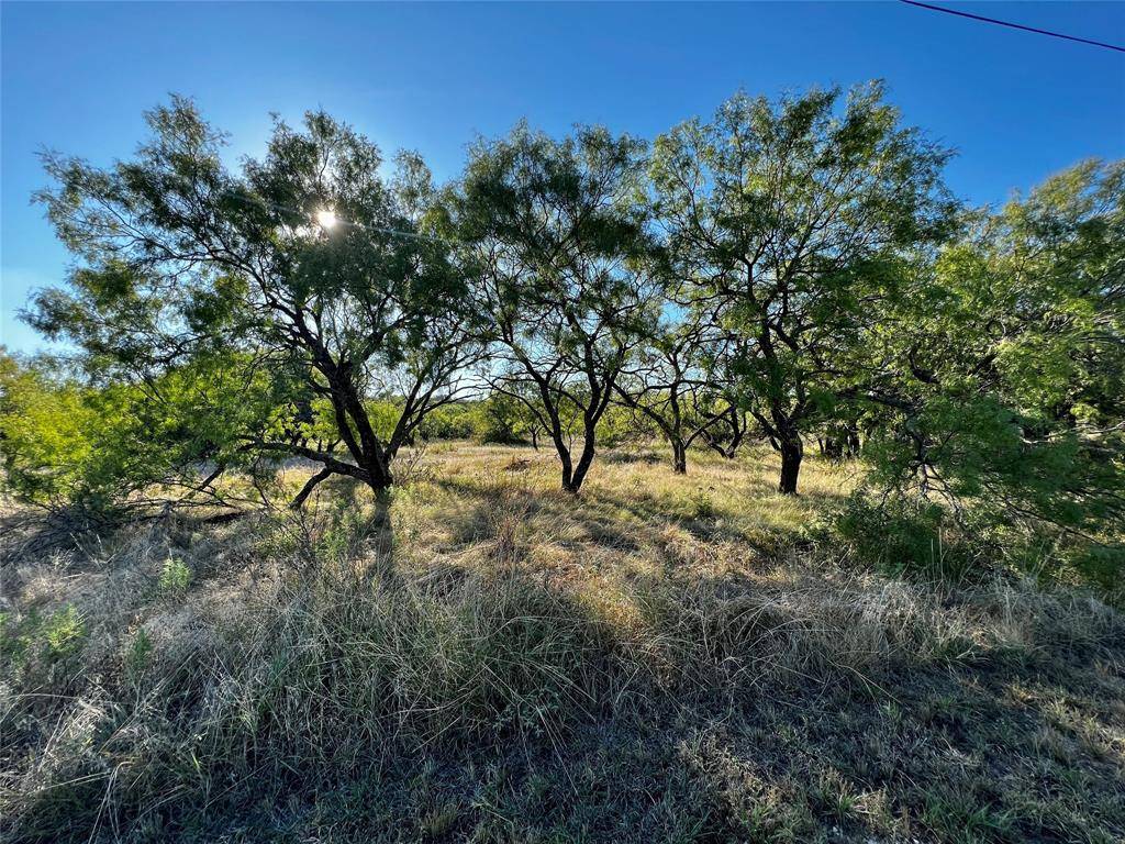 May, TX 76857,TBD LTS 93,94 Oak Point Dr. Drive