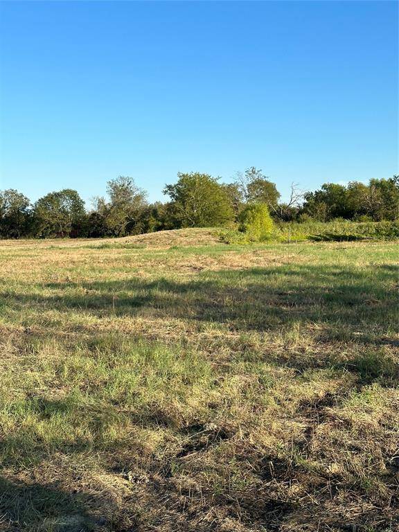 Powell, TX 75153,TBD Lot 3 NE County Road 0190